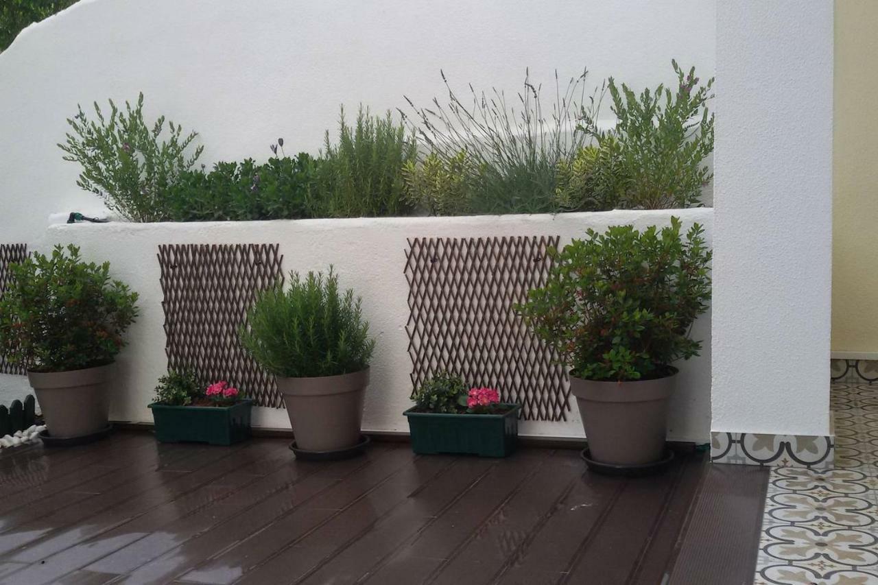 Sunny Orange Garden Apartment In Central Lisbon Exterior photo